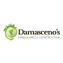 Damasceno’s Landscapes & Construction logo